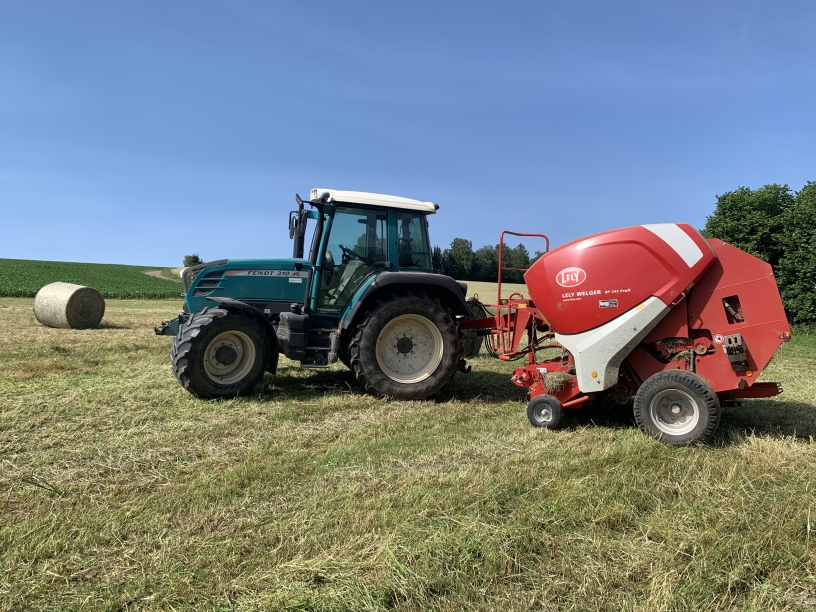 Hofeigenes Futter für unsere Limousin-Rinder