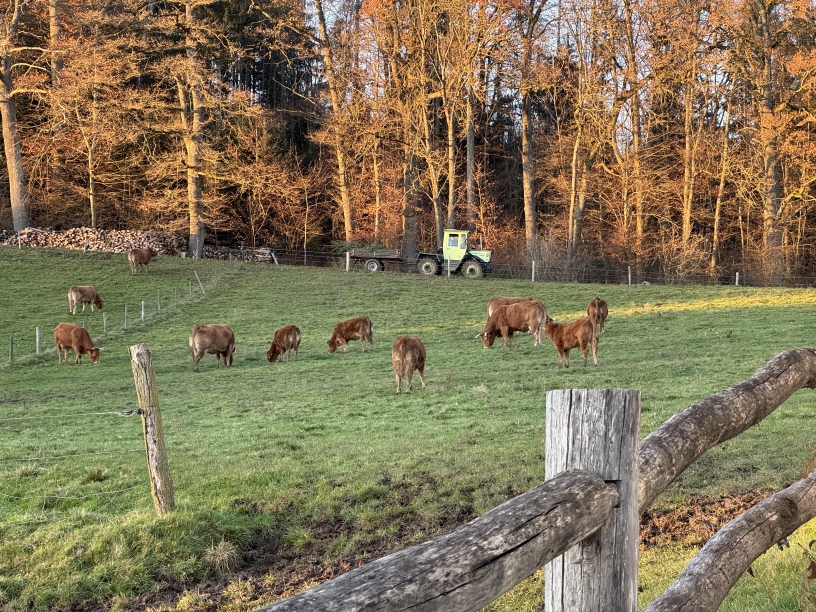 Landwirtschaft auf dem Biohof Widmann
